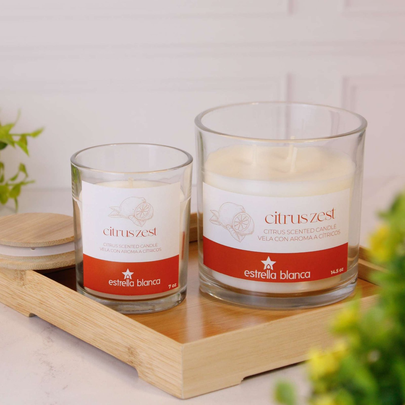 Citrus Zest scented candle for bright fresh rooms